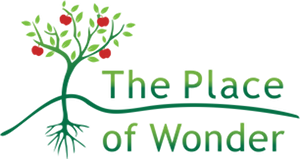 theplaceofwonder.online