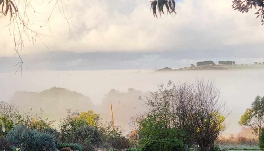 PLACE OF WONDER GARDEN WINTER