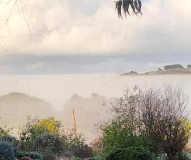 PLACE OF WONDER GARDEN WINTER