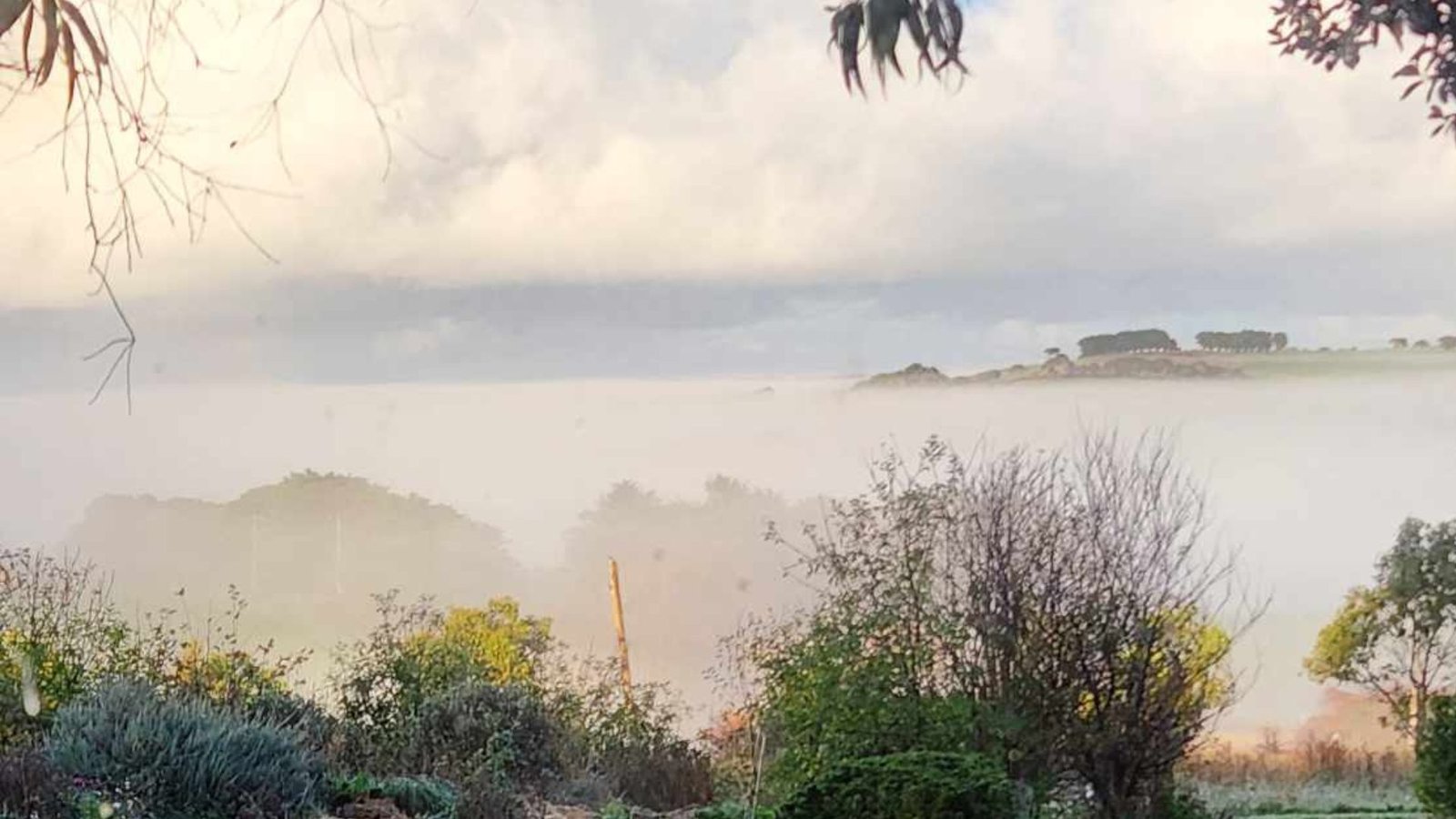 PLACE OF WONDER GARDEN WINTER