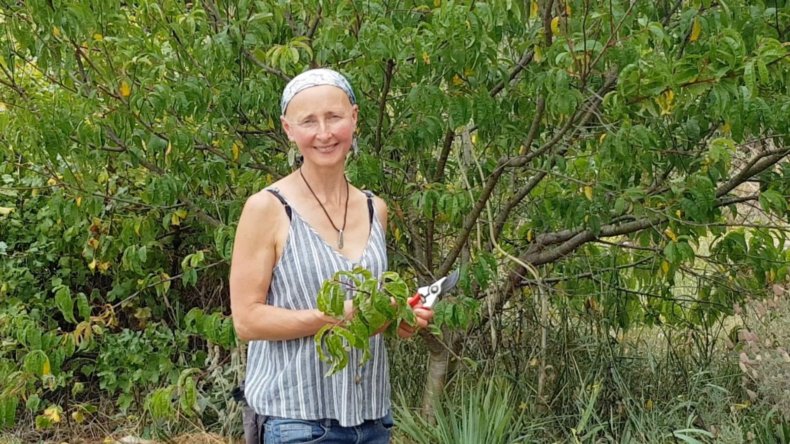 PLACE OF WONDER SYNTROPIC PRUNING